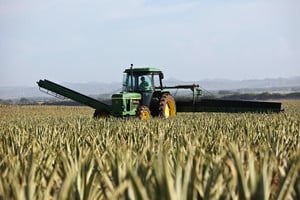 Tractor in field